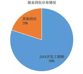 渤海大学中软国际软件与服务外包学院2018届毕业生答辩圆满结束