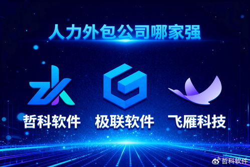 人力外包公司哪家强？最新口碑推荐榜单曝光，软件外包服务限时公开