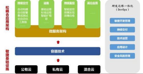鼎韬观点 从IT外包向云服务的进化——软件外包服务发展趋势研究