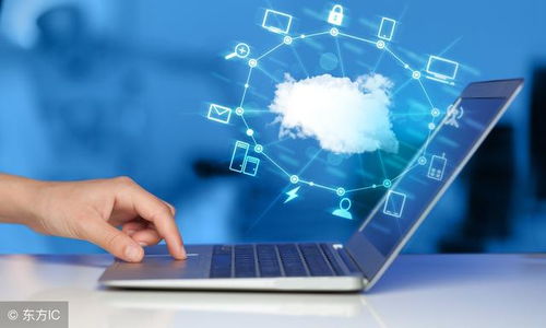 云计算 从网络应用模式到软件外包服务的演化