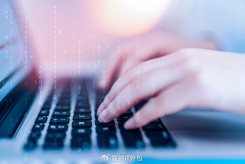 软件开发板块震荡走强，IT运维外包迎发展新机遇