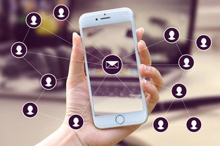 为何选择这样的app软件开发外包服务商？专业、高效与可靠的完美结合