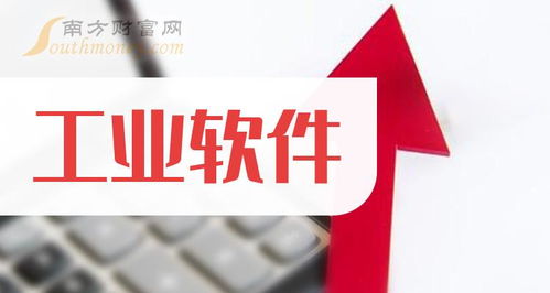 2024年工业软件龙头与软件外包服务 机遇与挑战并存